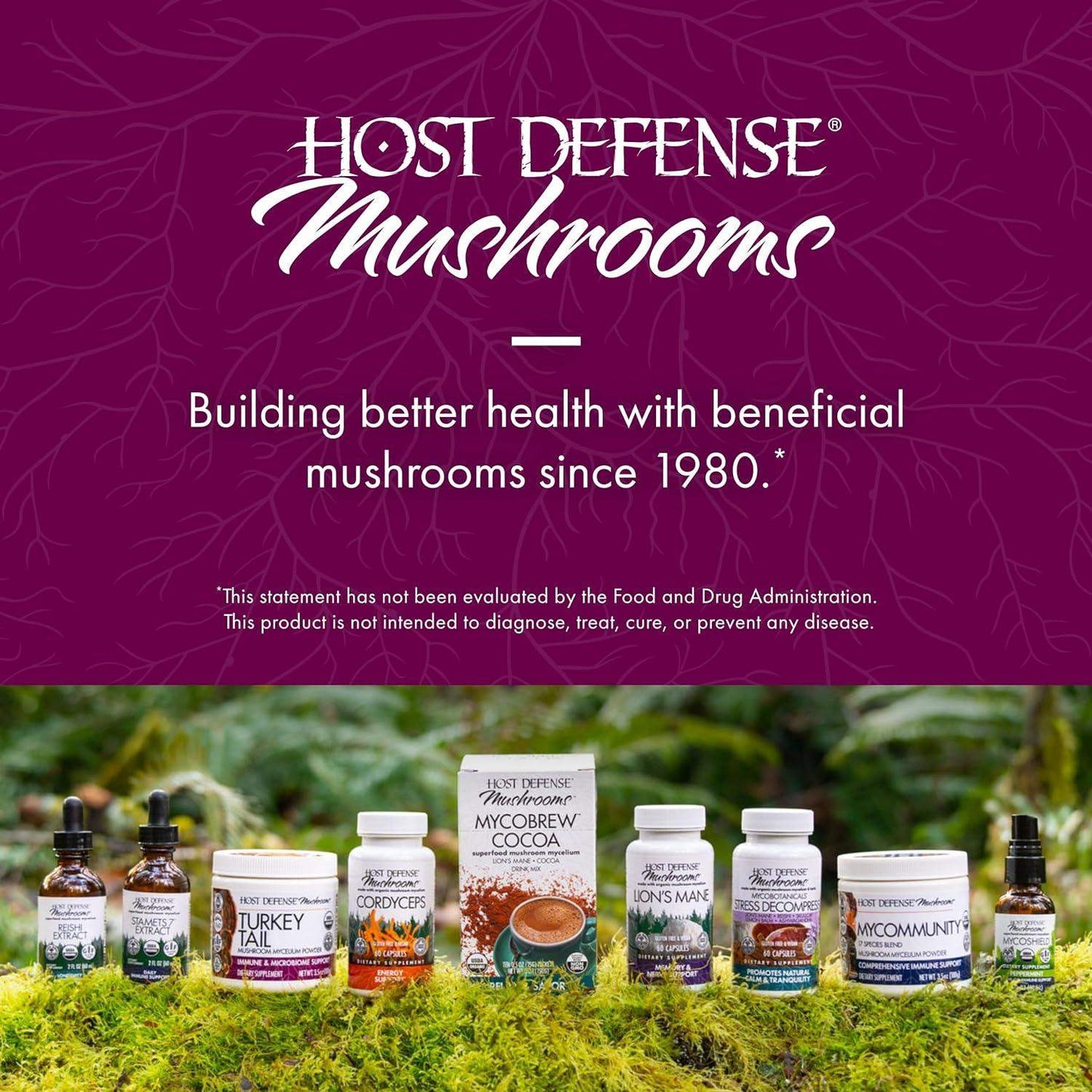 Host Defense Turkey Tail Mushroom Powder Blend for Immune Modulation and Gut Microbiome Balance - imprüv  