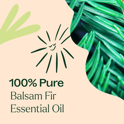 Plant Therapy 7-and-7 Essential Oil Set, 100% Pure, Undiluted, and Therapeutic-Grade for Aromatherapy - imprüv  