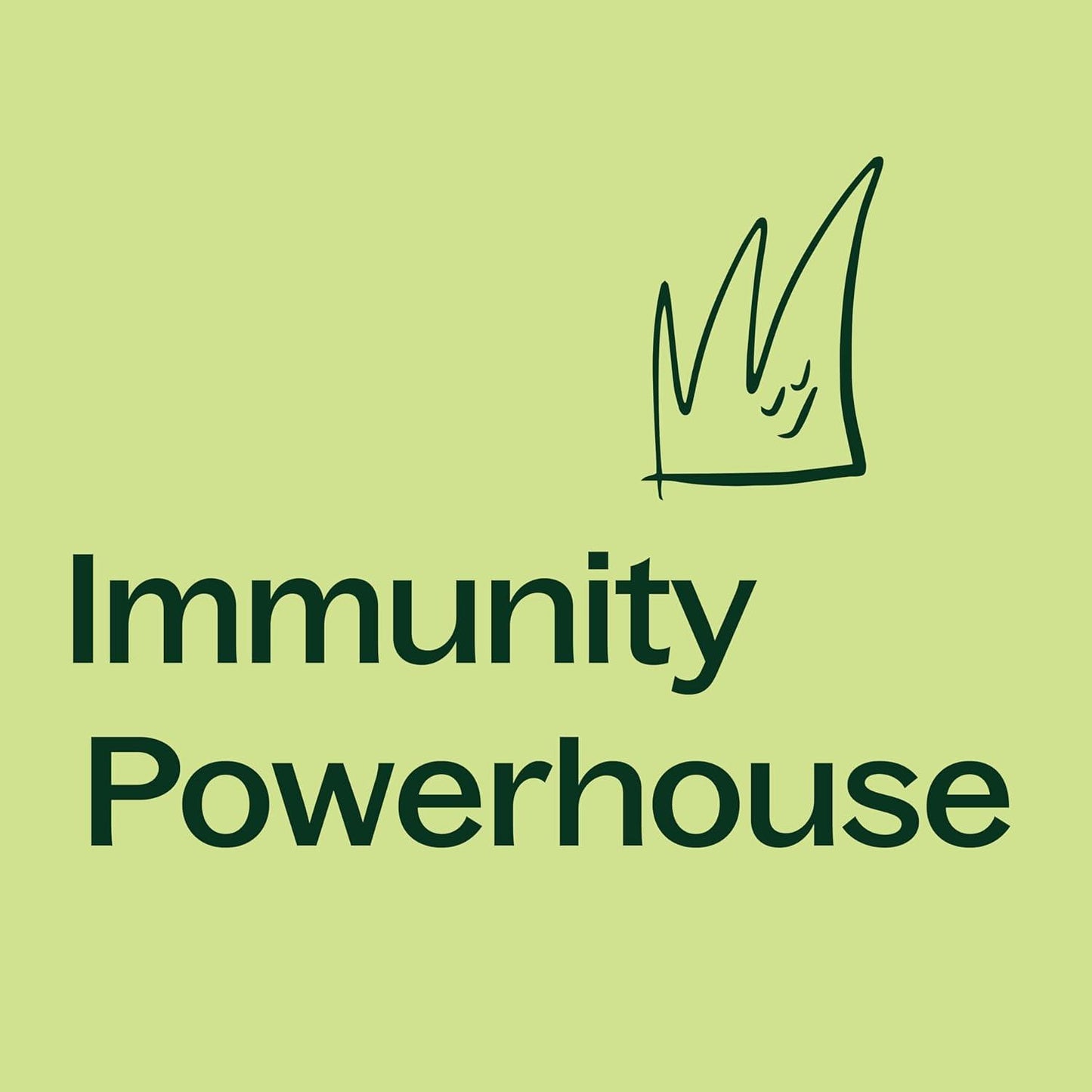 Plant Therapy Moringa Capsules, Pure Organic Superfood for Vitality, Detox Support, and Immune Resilience - imprüv  