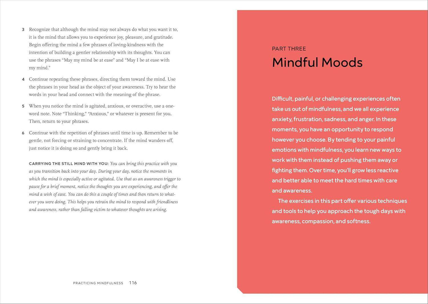 Practicing Mindfulness: 75 Essential Meditations to Reduce Stress and Improve Mental Health - imprüv  